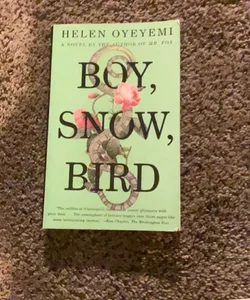 Boy, Snow, Bird