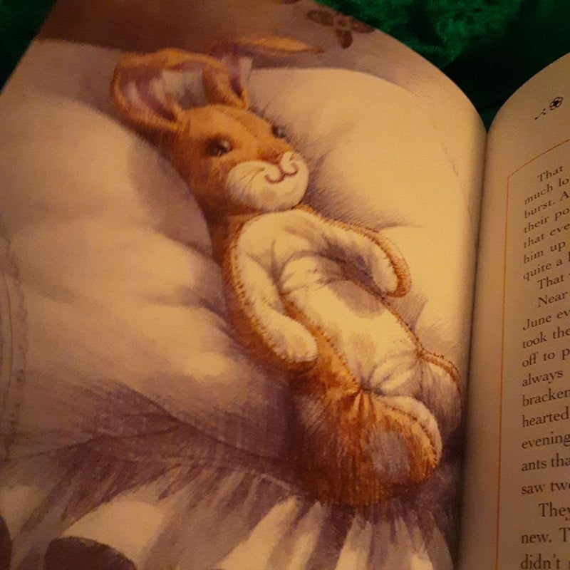 The Velveteen Rabbit