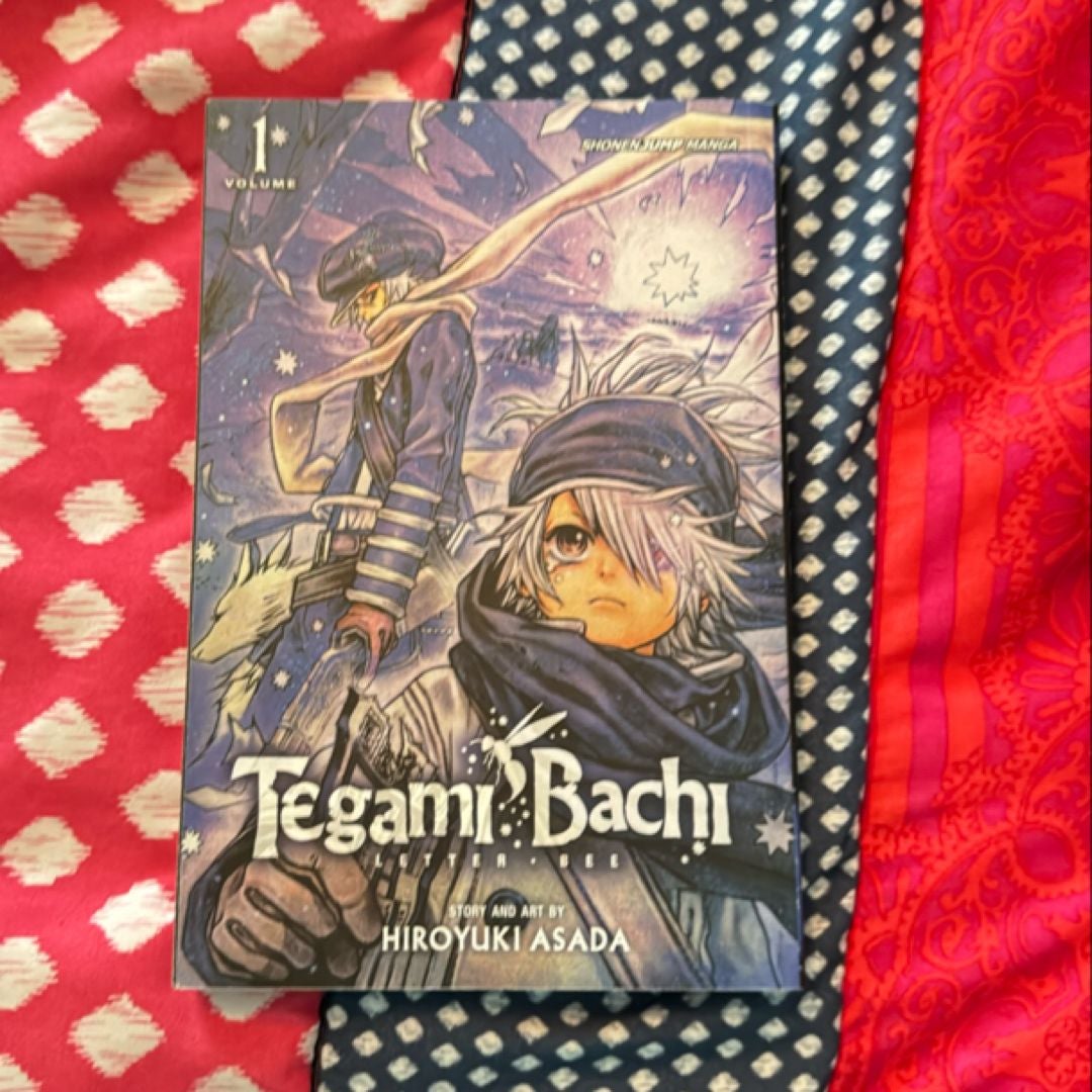 Tegami Bachi, Vol. 1