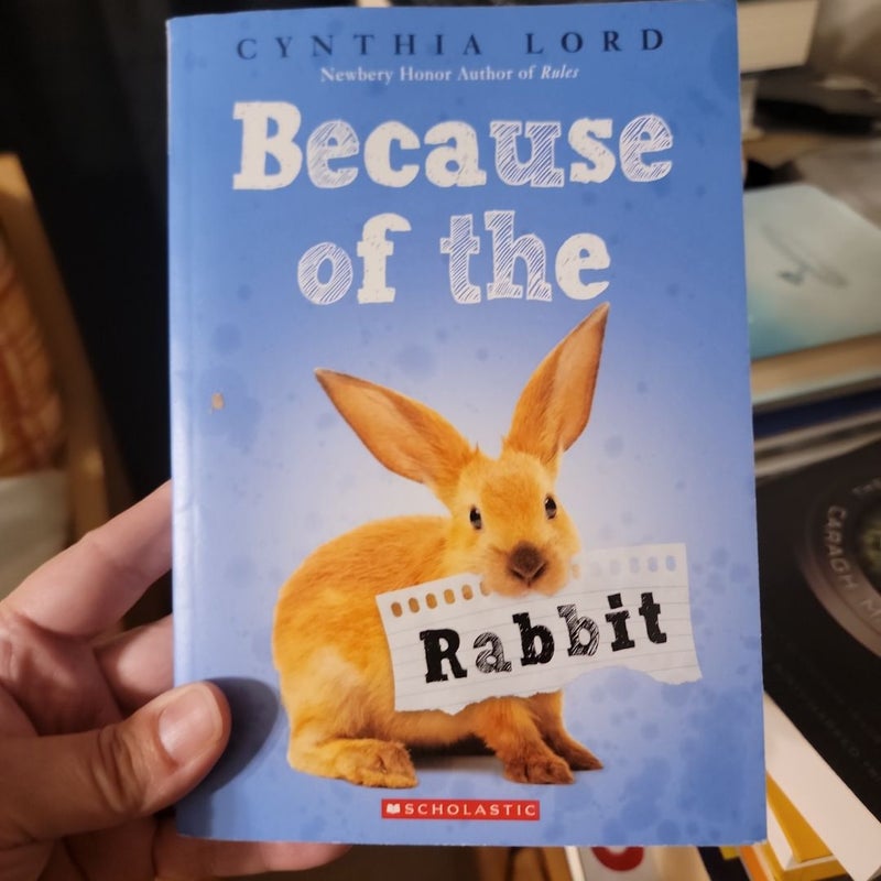 Because of the Rabbit