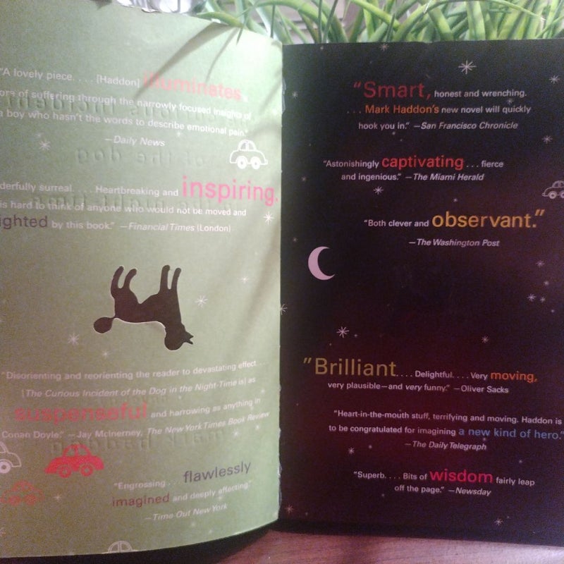 The Curious Incident of the Dog in the Night-Time