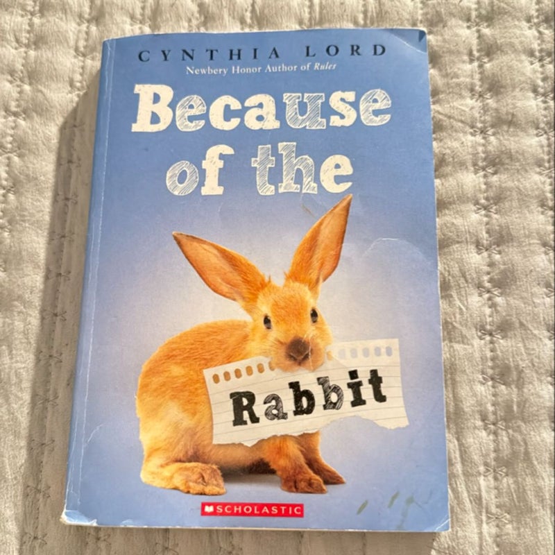 Because of the Rabbit