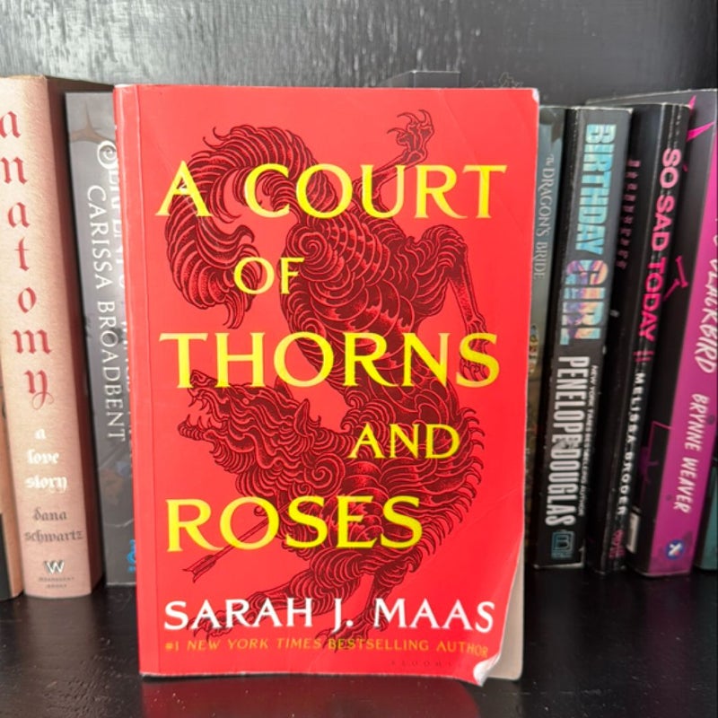 A Court of Thorns and Roses