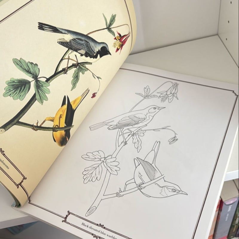 The Audubon Birds Coloring Book