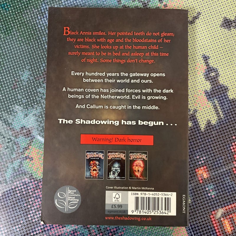 The Shadowing #2: Skinned