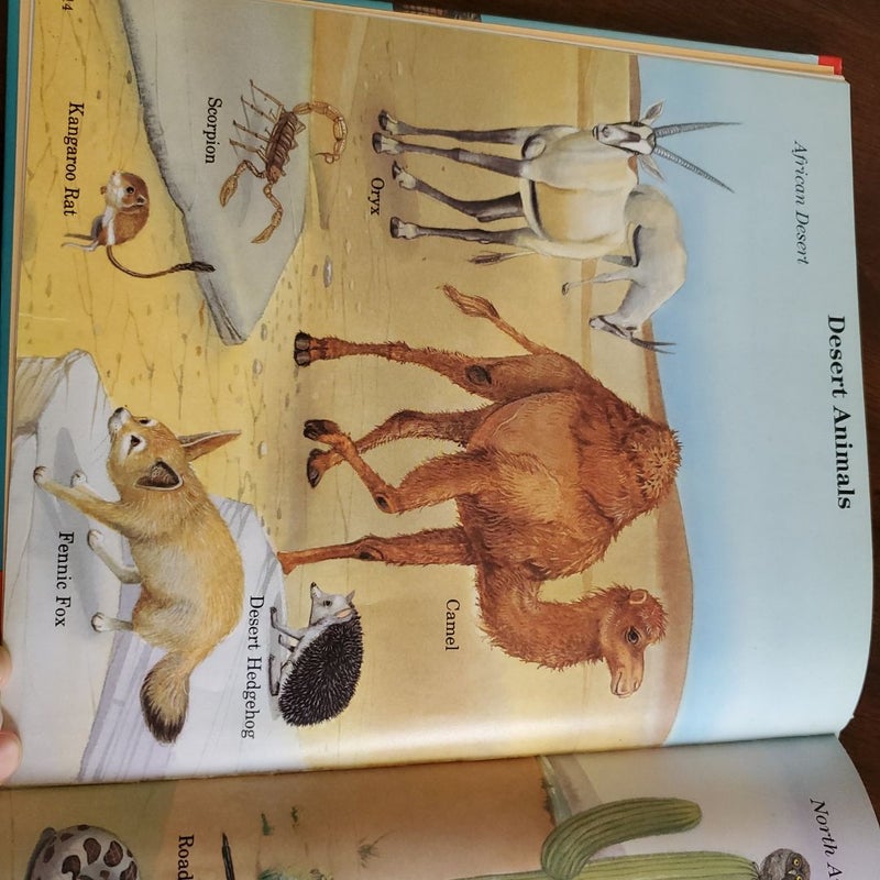 My First Book of Animals from A to Z