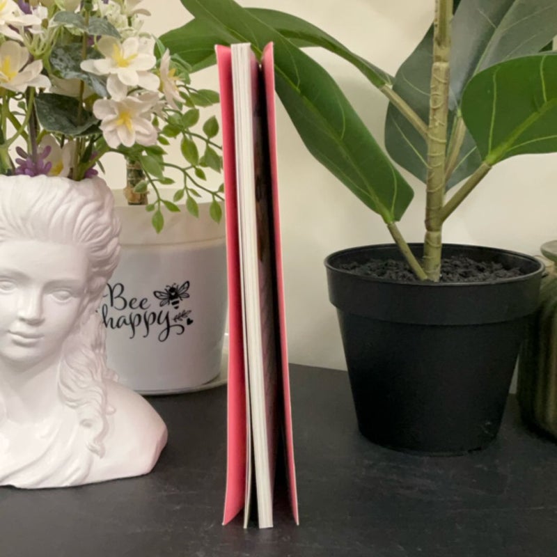 The Princess in Black and the Perfect Princess Party