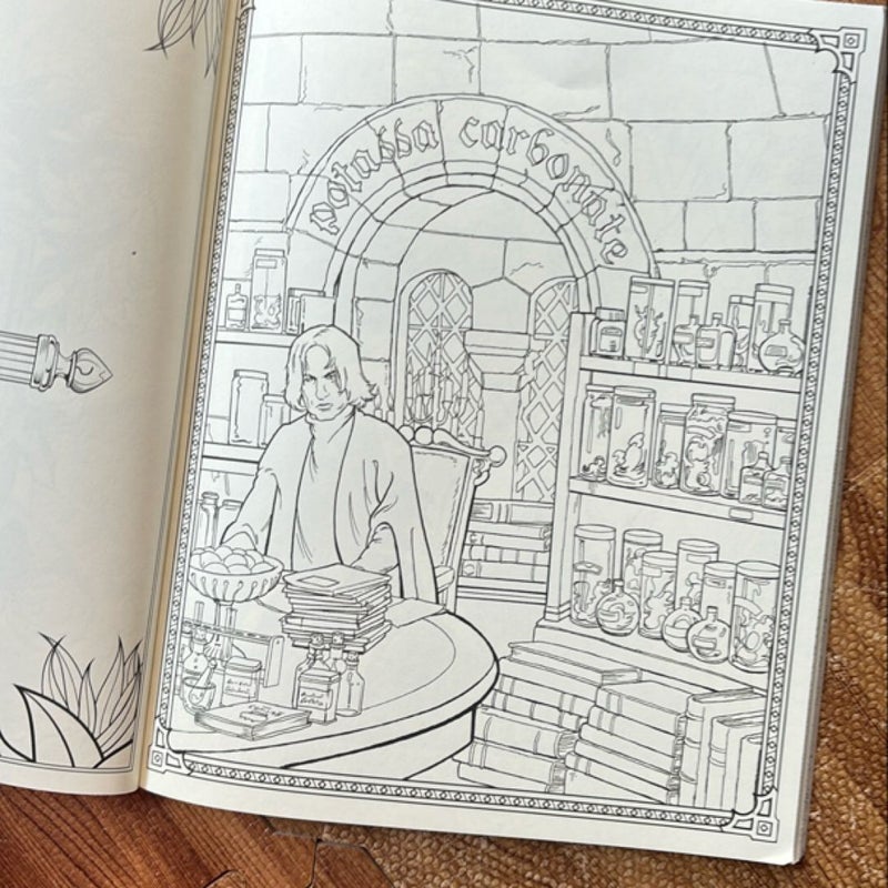 Harry Potter Coloring Book: Celebratory Edition