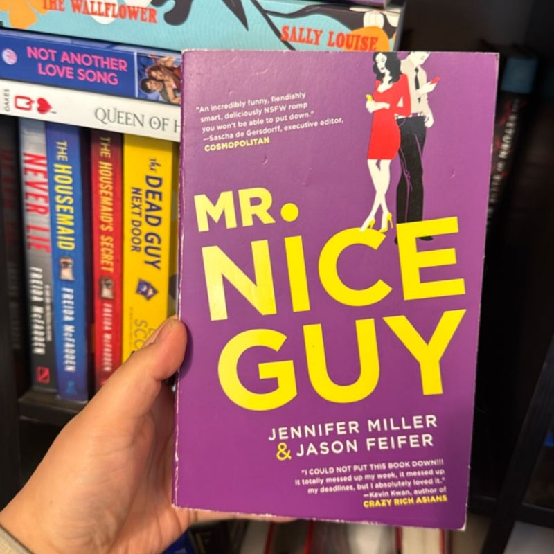 Mr. Nice Guy