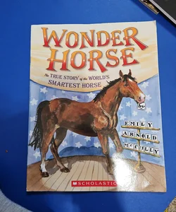 Wonder Horse