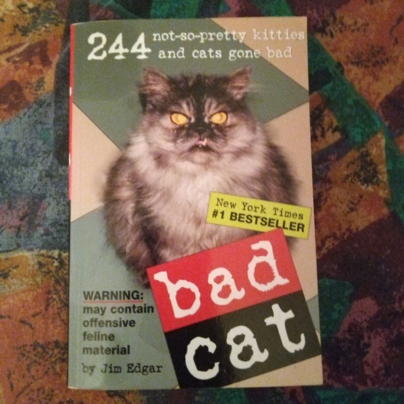 Bad Cat