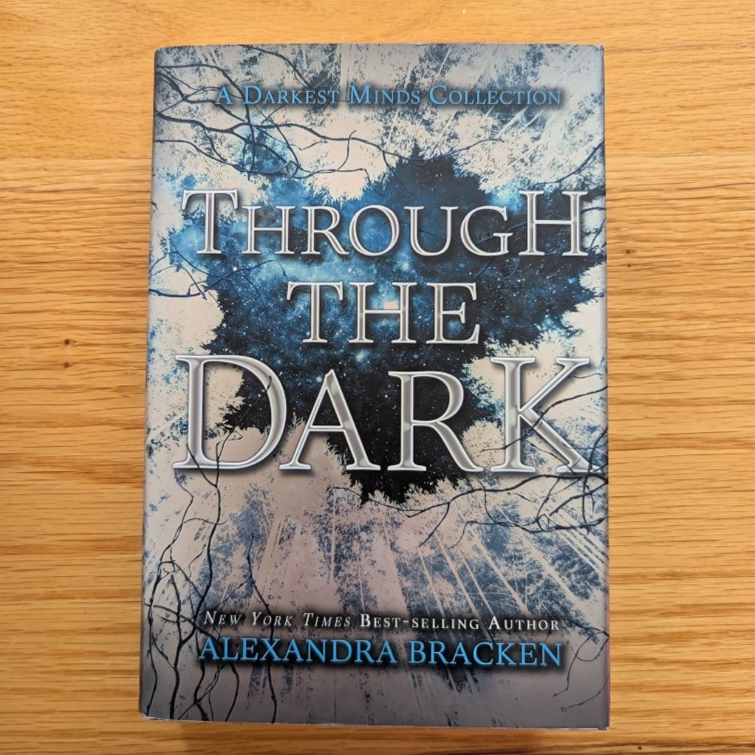 Through the Dark (a Darkest Minds Collection)