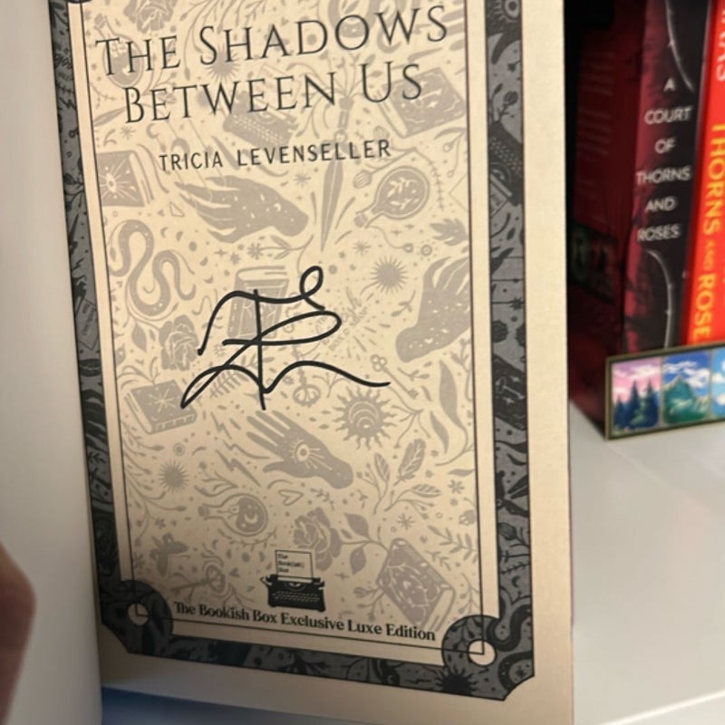 The shadows between us 