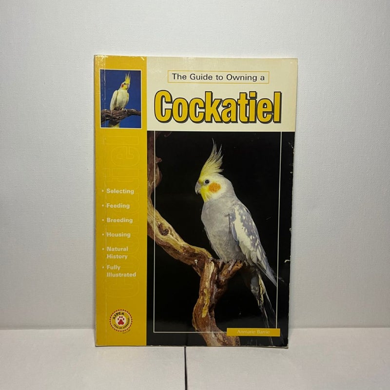 Guide to Owning a Cockatiel