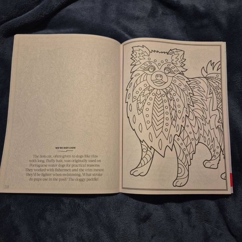 Blissful Dog Coloring Book