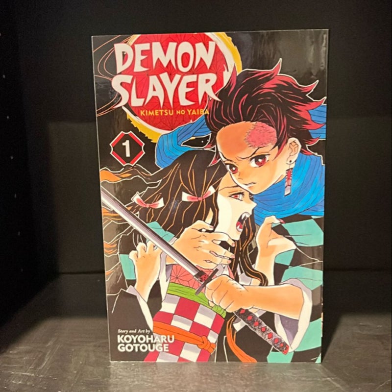 Demon Slayer: Kimetsu No Yaiba, Vol. 1