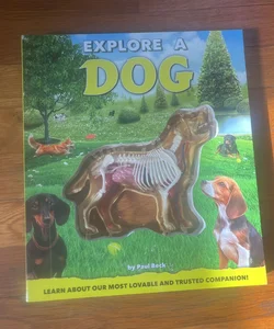 Explore a Dog