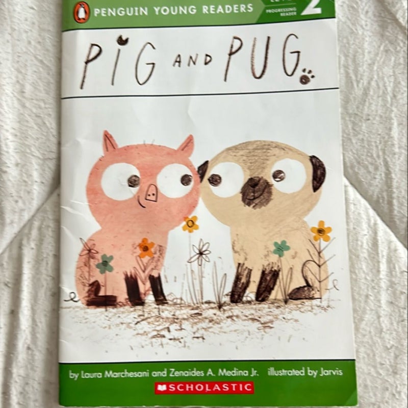 Pig and Pug 