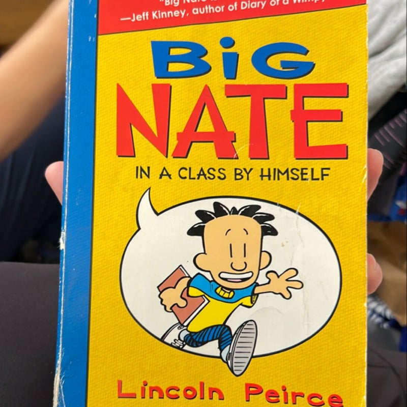 Big Nate -- In a Class by Himself