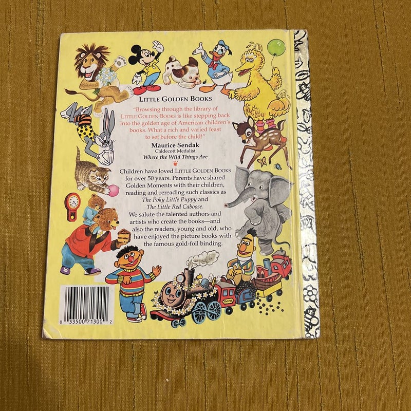 Pocketful of Nonsense - Little Golden Book