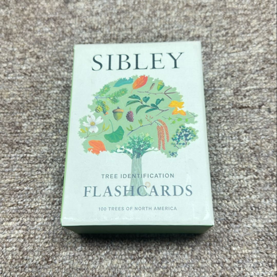 Sibley Tree Identification Flashcards by David Allen Sibley