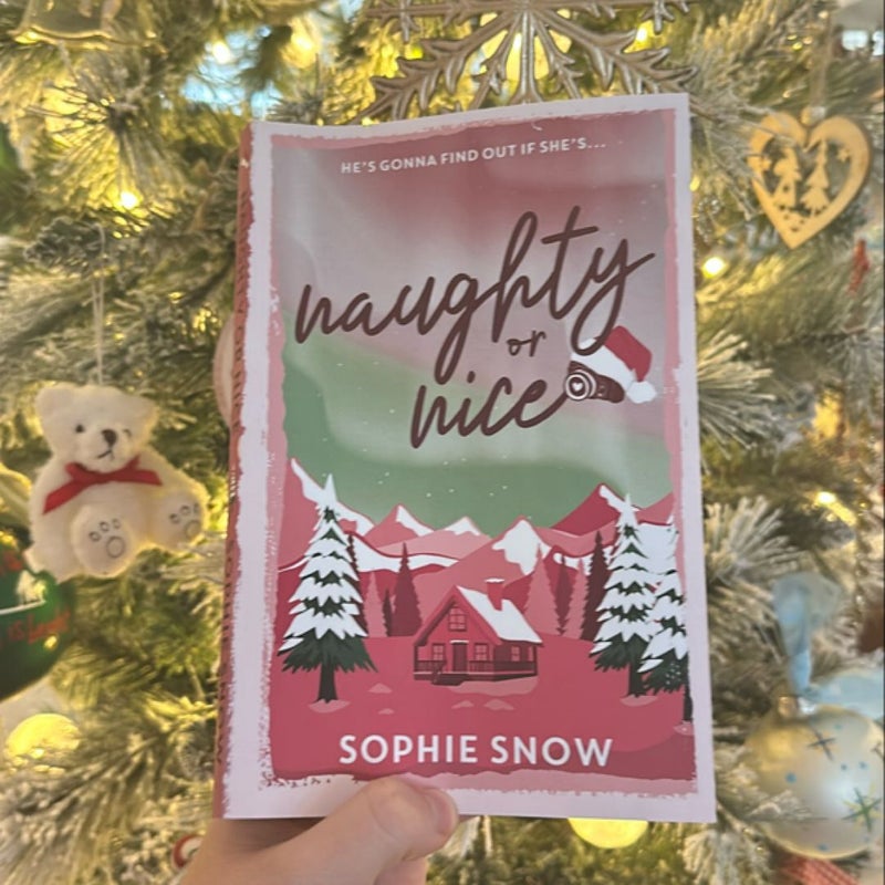 Naughty or Nice Novella 