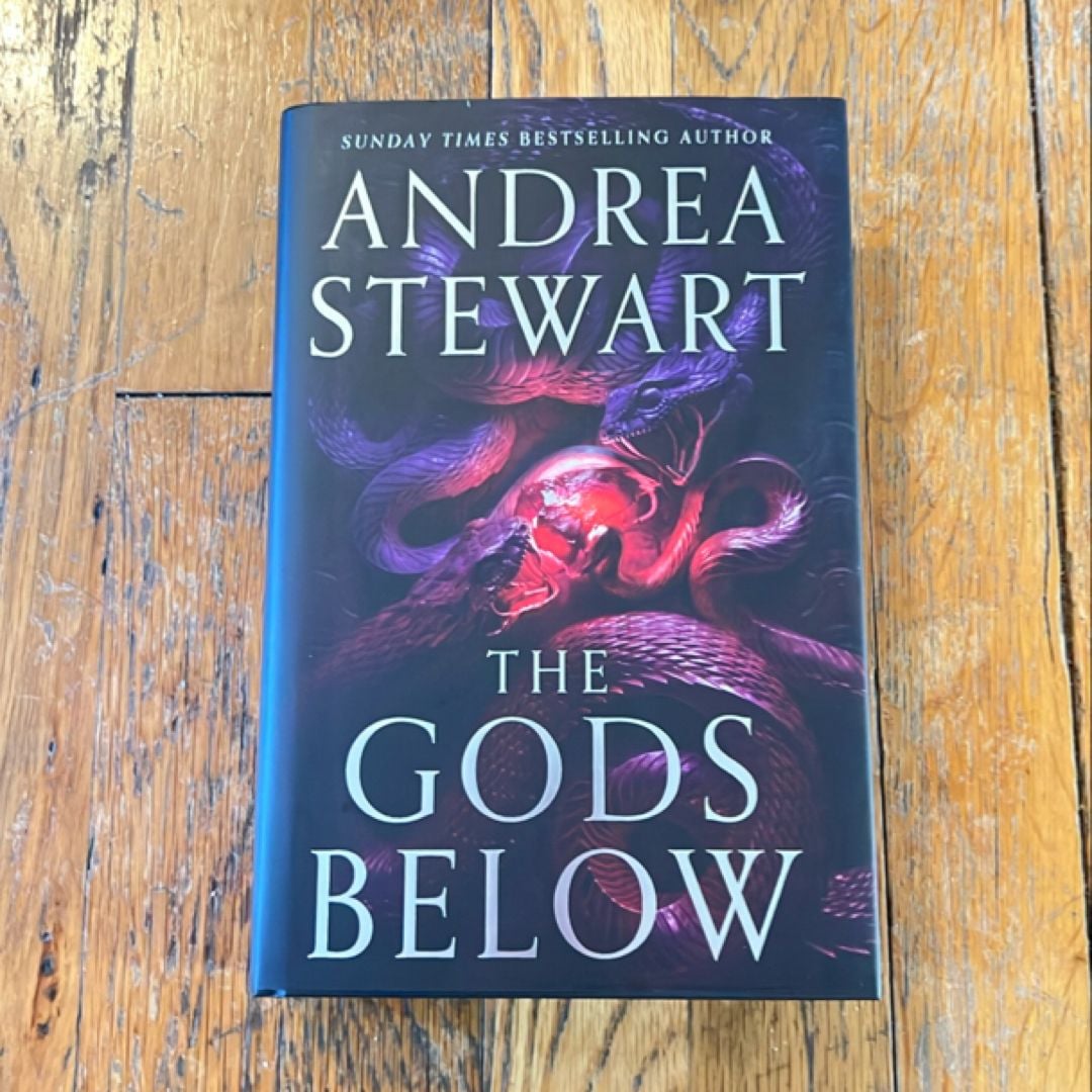 The Gods Below by Andrea Stewart, Hardcover | Pangobooks