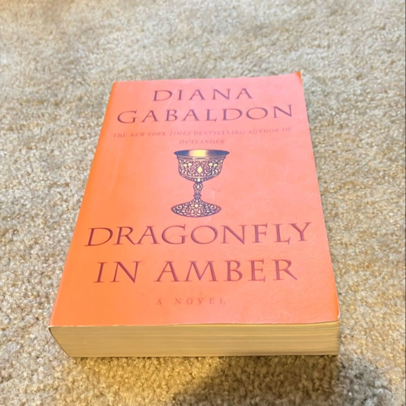 Dragonfly in Amber