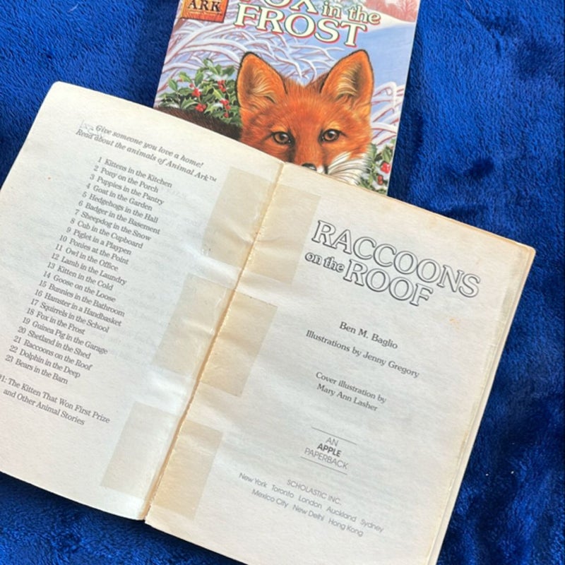 BOOK BUNDLE: Fox in the Frost and Raccoons on the Roof