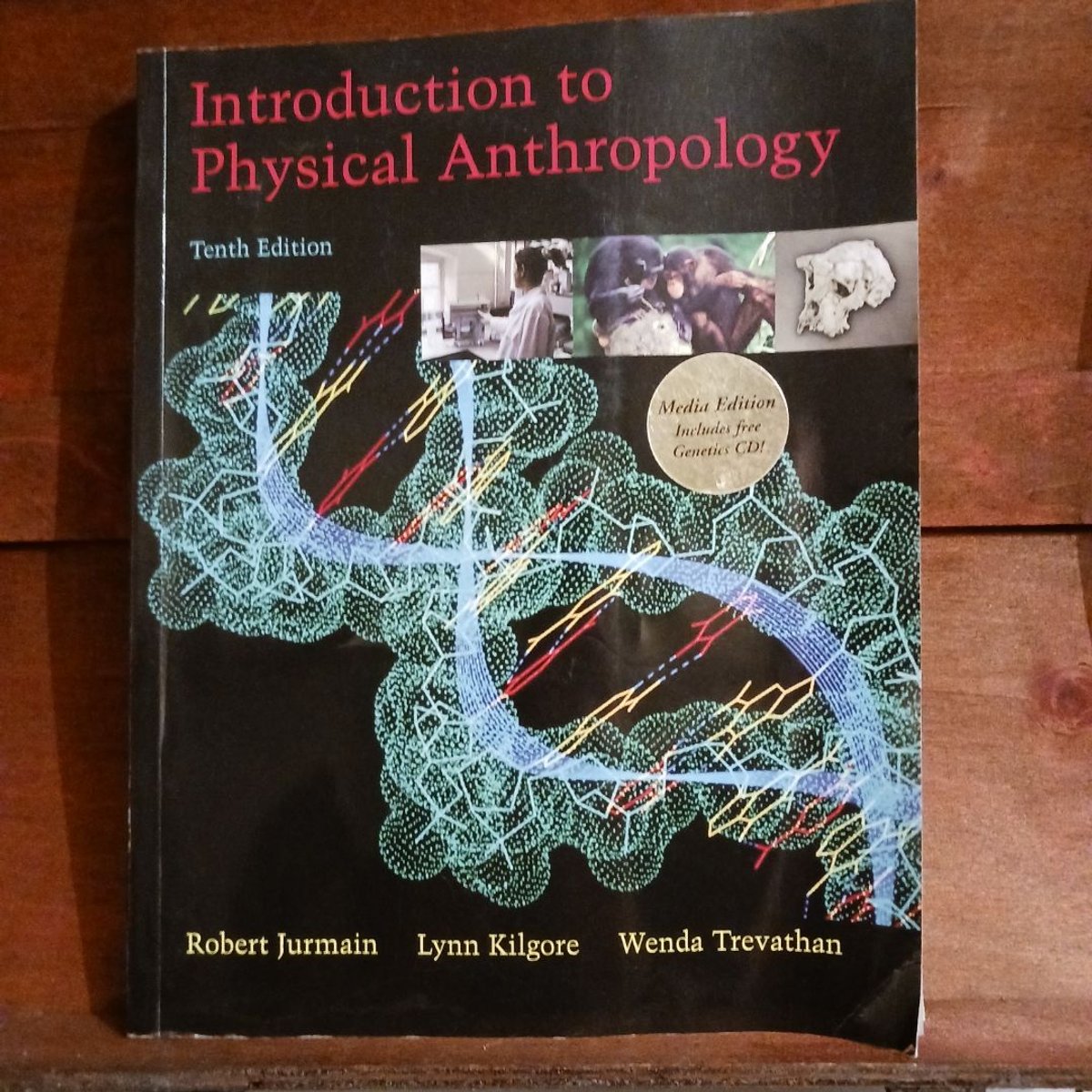 Introduction to physical anthropology 2011 2012 edition by robert