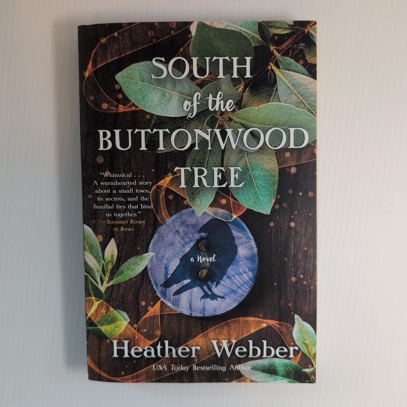 South of the Buttonwood Tree