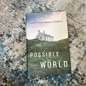 The Possible World