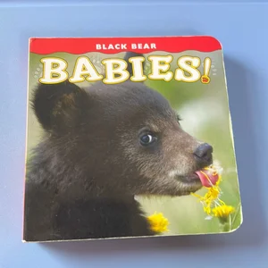 Black Bear Babies
