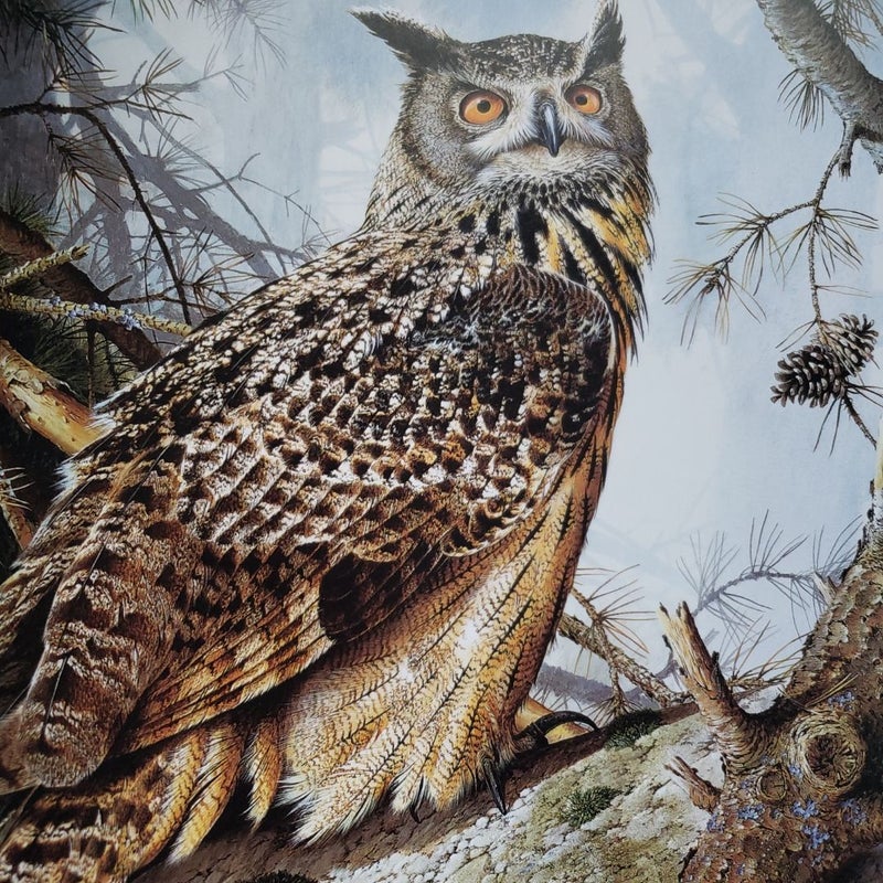 Best of Wildlife Art