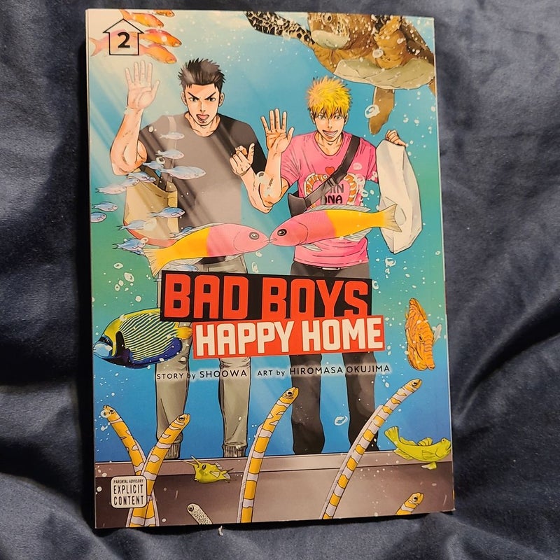 Bad Boys, Happy Home, Vol. 2