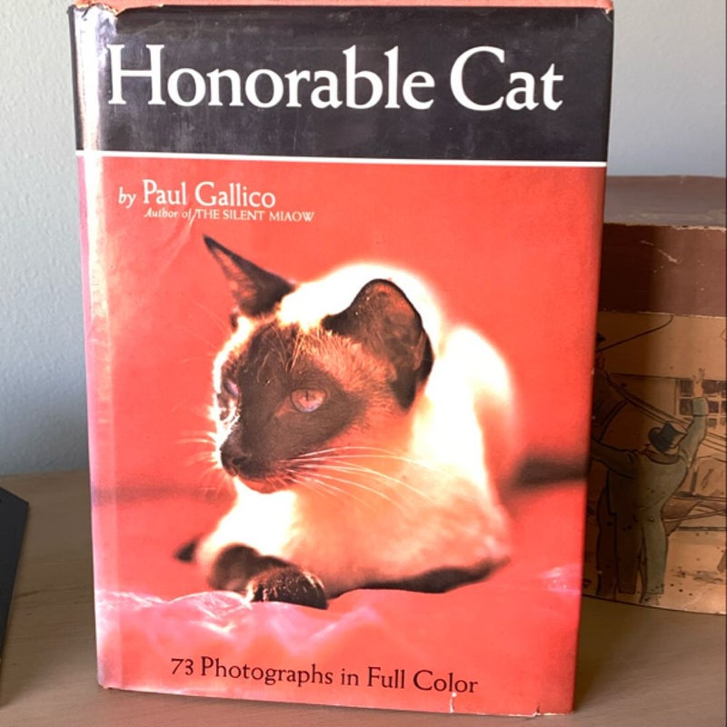 Honorable Cat 