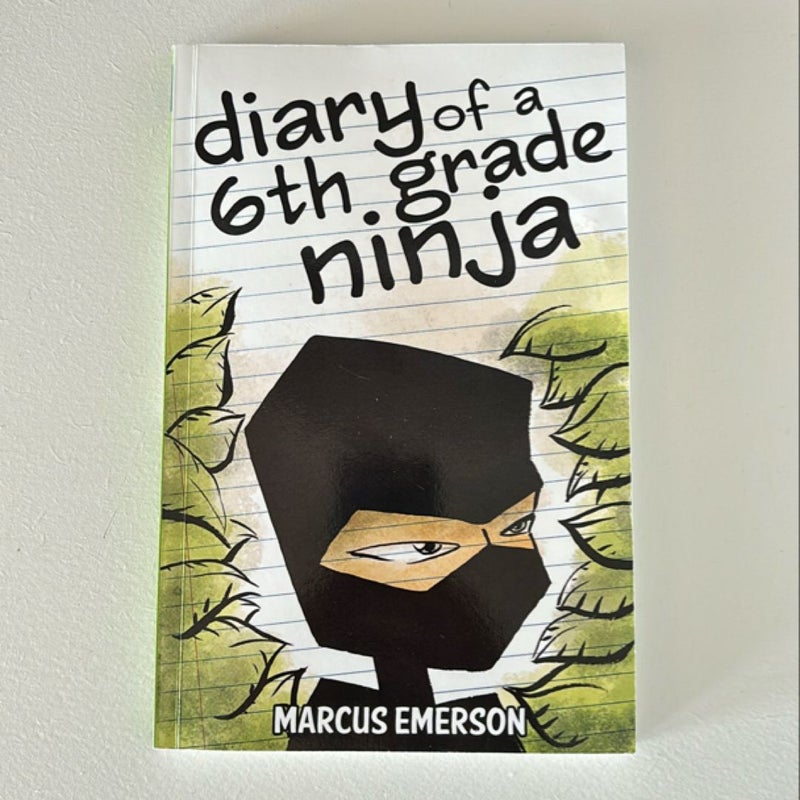 Diary of a 6th Grade Ninja