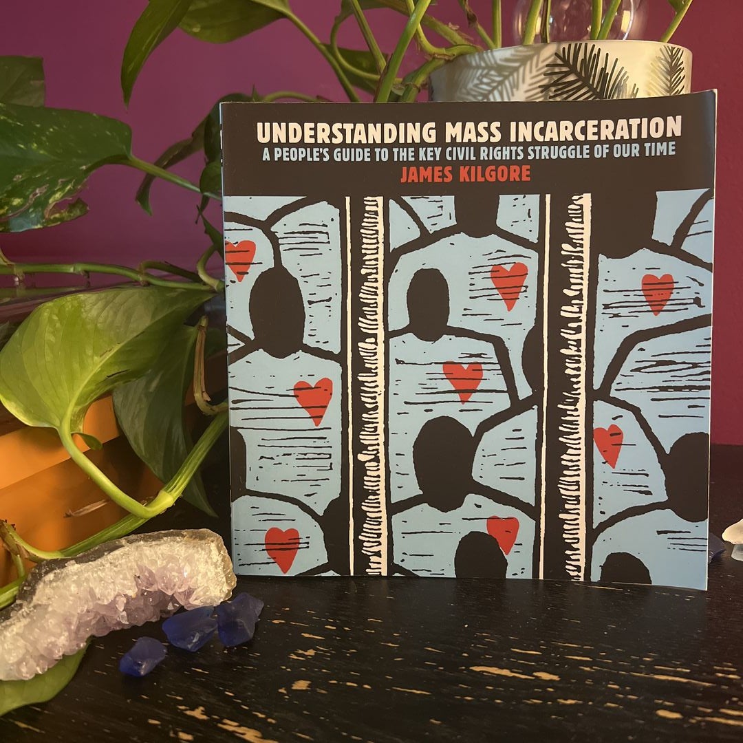 Understanding Mass Incarceration