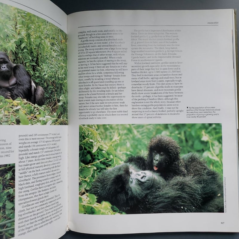 Encyclopedia of Mammals