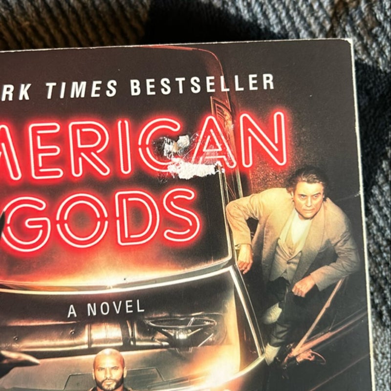 American Gods, Fragile Things