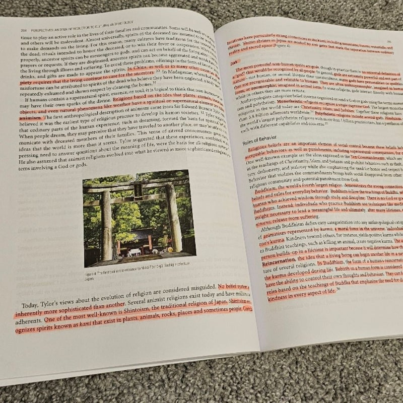 Perspectives: An Open Invitation to Cultural Anthropology 
