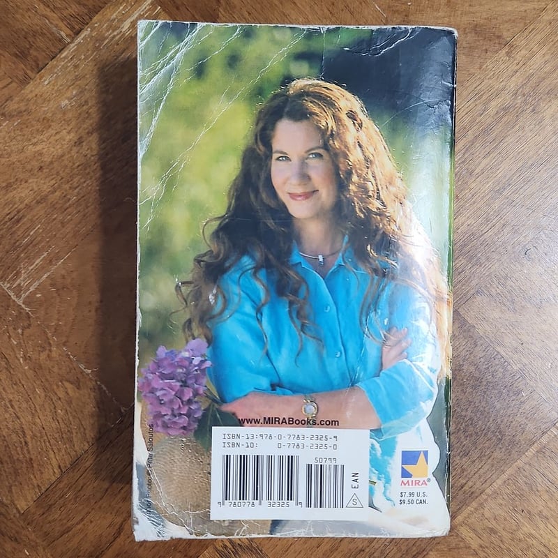 Summer at Willow Lake