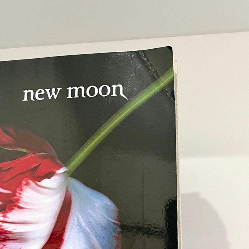 New Moon