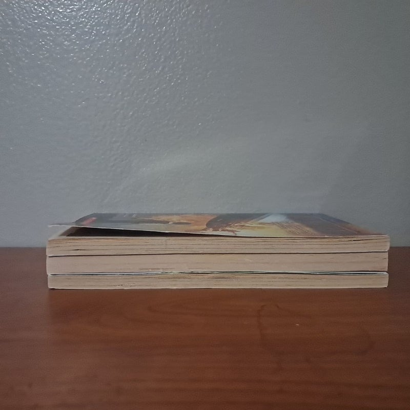 I Survived Series Bundle of 3