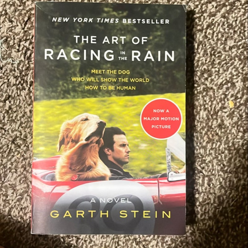 The Art of Racing in the Rain Tie-In