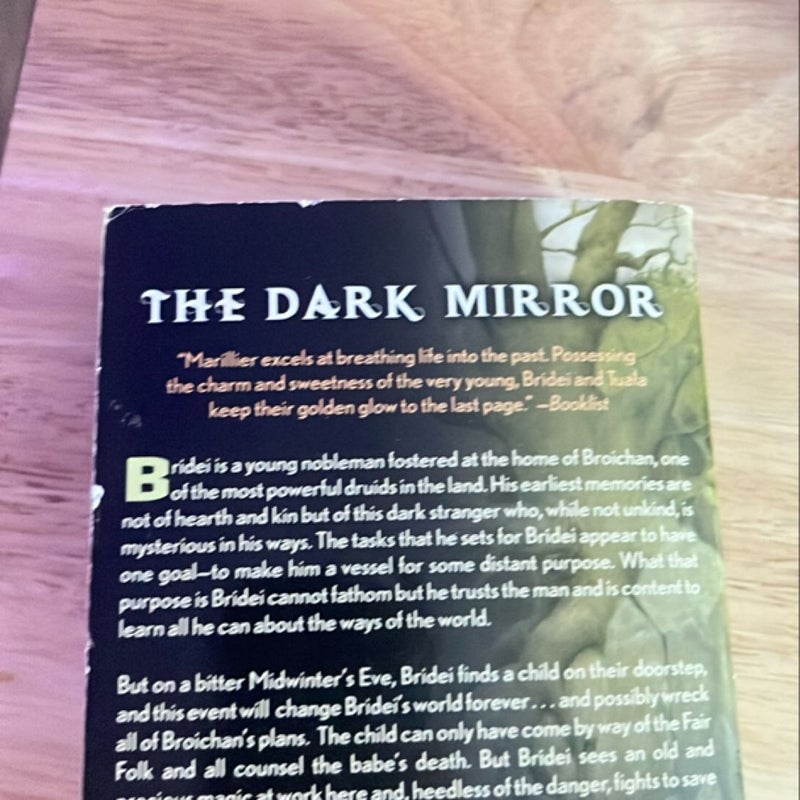 The Dark Mirror