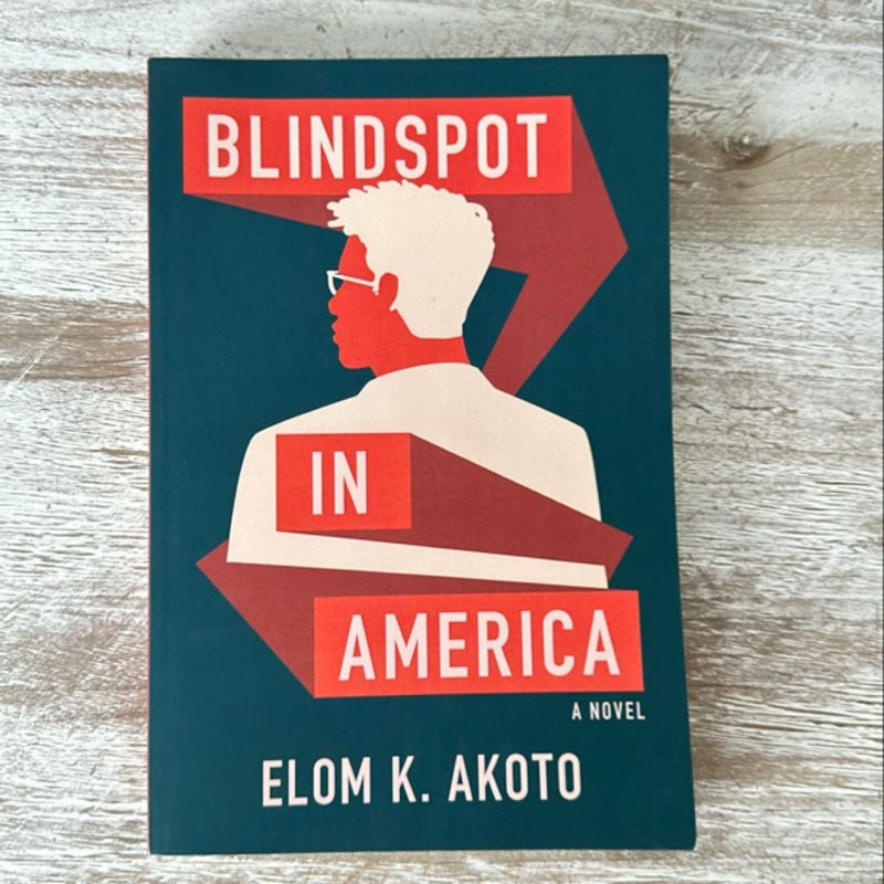 Blindspot in America