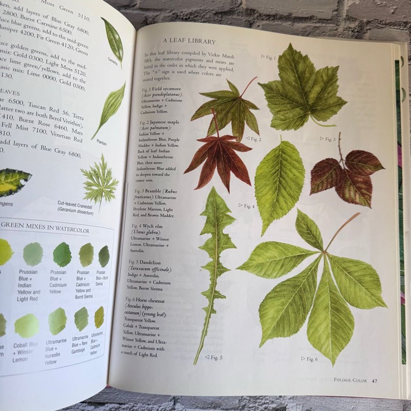 The Art of Botanical Painting