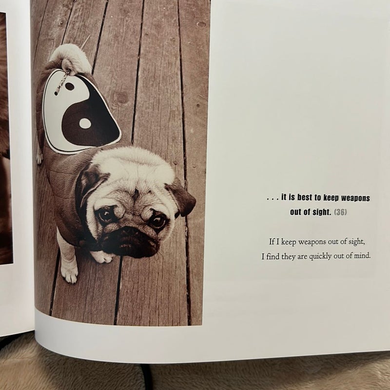 The Tao of Pug パグ The Tao of Pug: Levine, Nancy, Wilson the Pug: 9781510714410
