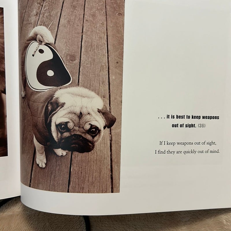 The Tao of Pug